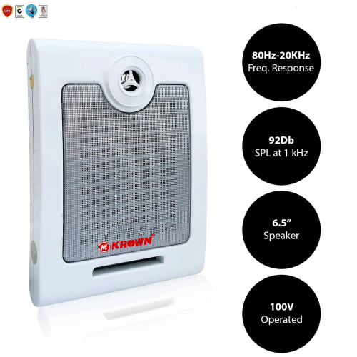Wall & Ceiling Speaker KWS-01